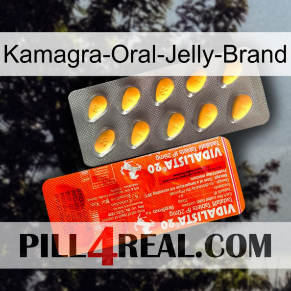 Kamagra-Oral-Jelly-Brand new01.jpg